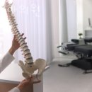 프롭비한의원 이미지