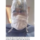 장군이네 포차 이미지