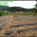 봉소2리 마을회관 이미지