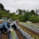 안흥종묘사 이미지