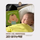 나비야놀자 | 베베랑마마랑 아기 발달 책 추천 (검단어린이서점-꿈꾸는책방)