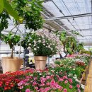 헬로우마켓 이미지