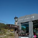 고창 고수교차로 이미지