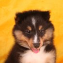 이지스힐 이미지