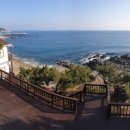 영덕바닷가솔밭펜션 이미지