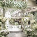 강남 밝은 웨딩홀 셀럽앤어셈 26년 상반기 견적 및 당일계약 혜택 할인 방법
