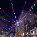 남대천L | 강릉 크리스마스 축제 월화거리 주말 방문 후기 l 중앙시장 주차 &amp; 포토존