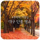 호산근린공원 서편 - 3892 | 호산근린공원 서편