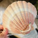 신신민박 | 산티아고 순례길, 프랑스 길 2일차 – 조금은 익숙해진 발걸음, 그러나 새끼발톱은 곧 이별 예정