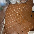 갈현동세탁소 이미지