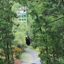 좌구산휴양랜드 이미지