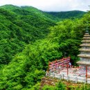 "입장료도 없는데 국보까지 볼 수 있어요" 9m 높이 7층 석탑 품은 천년 사찰 이미지