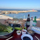 세븐일레븐 울진후포마린점 | [후포리 대게 맛집] 마린수산 솔직후기