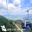 비고리조트 16 | 아이와 정선 여행 하이원 운탄고도 케이블카 동물농장 카페 마운틴
