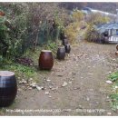 대문안 농장 이미지