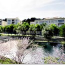 5단지롯데공인중개사사무소 이미지