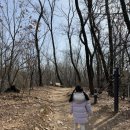 초안산헬기장 | 아이와 등산 12탄 서울 초안산 - 1000개의 분묘는 누구 것인가