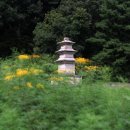 구황동 티스토리