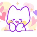 달루나캣츠 고양이전문 평택점 이미지