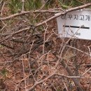 고려산주유소 이미지