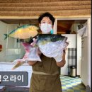 26470-01-21-351 | 제주시맛집 김녕오라이 제주시 최고의 생선회 맛집