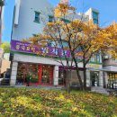 강릉양자강 | [강릉 양자강] 강릉 짬뽕 맛집 추천/내돈내산 별점후기