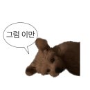 홍상포장 | [제주도 맛집] 제주 서귀포 수산 포장 전문 88종합수산 홍가리비찜 포장 후기