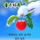 해피데이 Daum카페