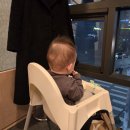 슈얼리박스 | 임신 확인 빨리 하는법 슈얼리 얼리 임테기 사용법