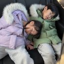 위니비니군산점 | 제주여행(1일차 김해공항 주차, 동문시장, 제주 더제이드호텔)