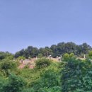 신안리경로당 이미지