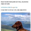 갤러리조금 이미지
