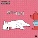 데일리뷰