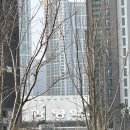 안양새물공원 | 광명역 KTX 주차장, 안양새물공원 주차장, 일 최대요금 인상 정보