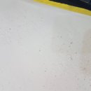 몬스터랩스 이미지