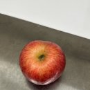 맛정 | 새콤달콤 꿀사과 찾는다면! 제철과일 정담아농원 부사사과 솔직 맛후기