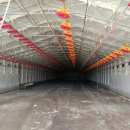 미정농장 이미지