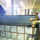 대청행복탕 이미지