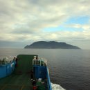 완도7호 이미지