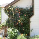 아름다운펜션 이미지