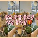 플로밋 이미지