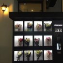 그린자판기