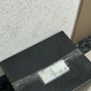 홈 | 서울 야외 웨딩 스냅 - 가성비 야외 촬영용 드레스 (셀프웨딩홈, 베일즈 후기)