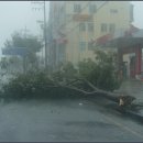 도남주유소 이미지