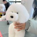 아름다움미용학원
