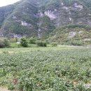 한율농장 이미지