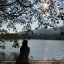 휘트니스2.0 | 5일차] 팟카파오 맛집 | 초콜렛 컬쳐 클럽 | 마야몰 판단 | 앙깨우저수지 | 디앤마사지 | 피트니스펌프2.0