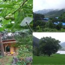 햇살이고운농장 이미지