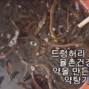 어부건강원