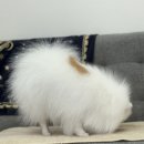 복희미용실